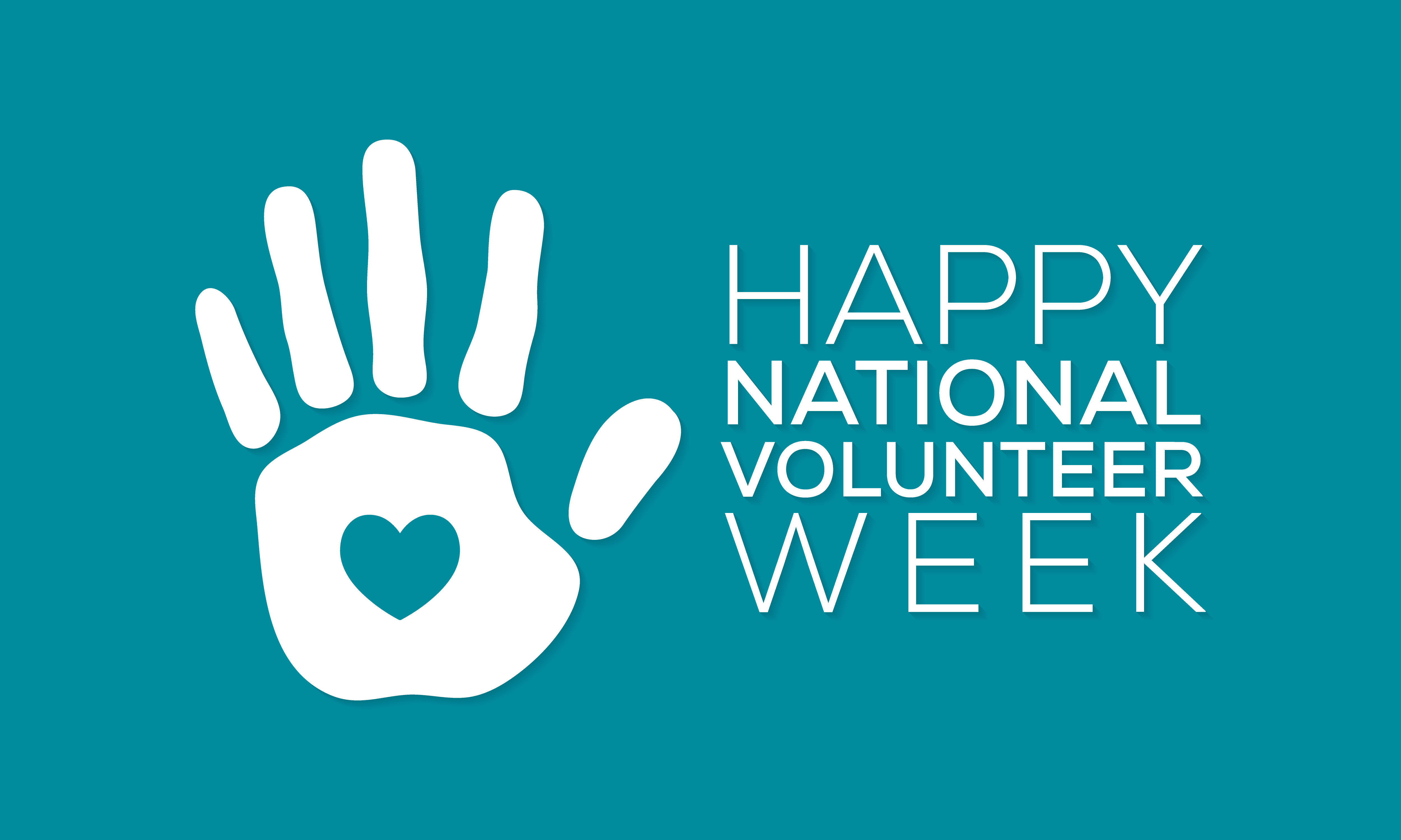 When Is National Volunteer Appreciation Week 2024 Glori Kalindi