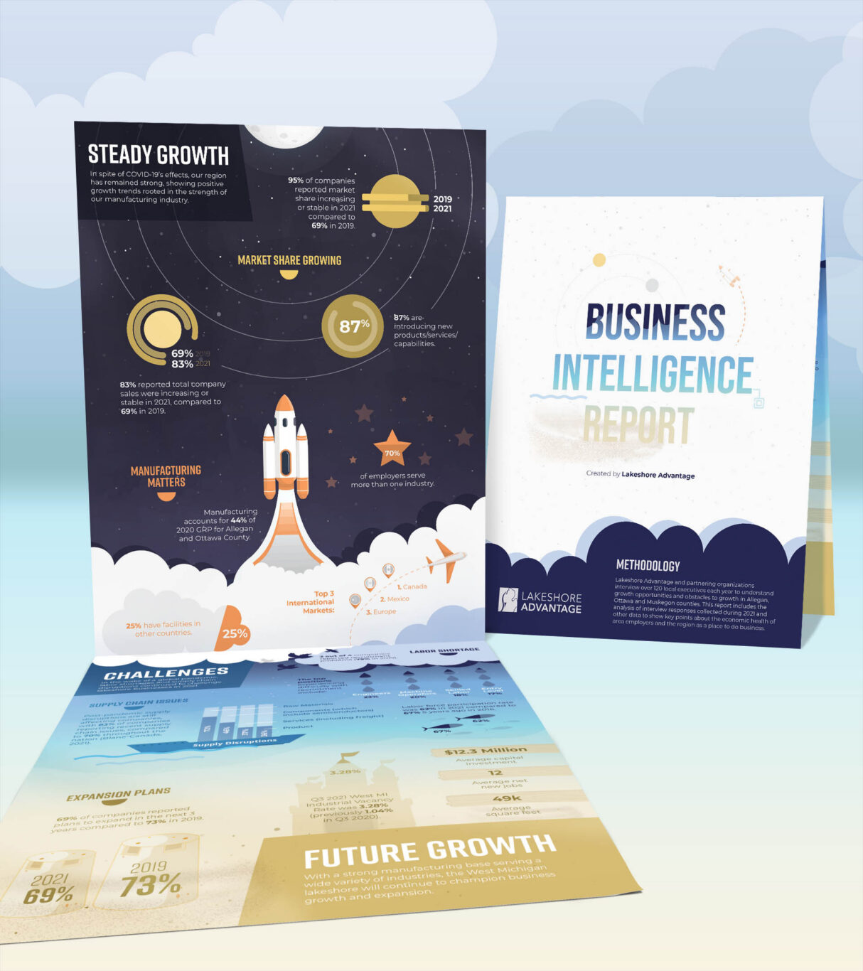 Lsa Business Intelligence Report Collateral